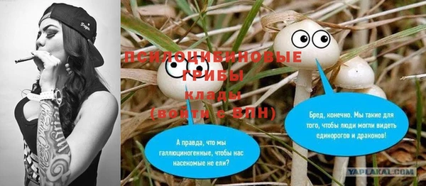 гидропоника Дмитров