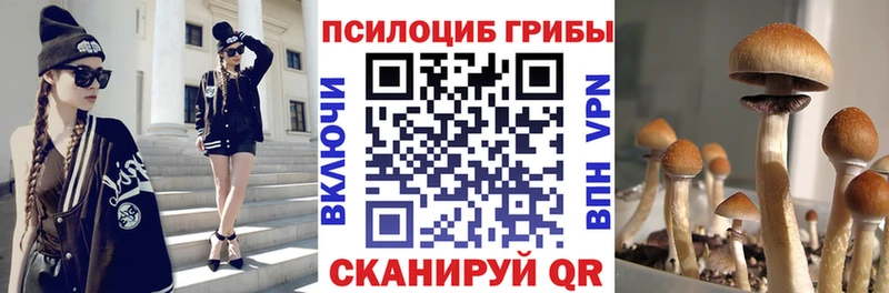Купить  Пучеж  Псилоцибиновые грибы MAGIC MUSHROOMS 